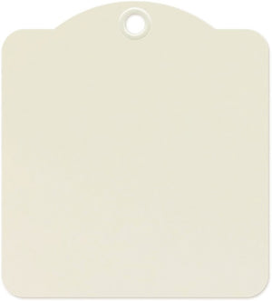 Graphic 45 - Staples Collection - Square Die Cut Tags